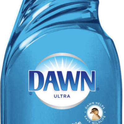 Dawn Dish Soap - Small Bottle
